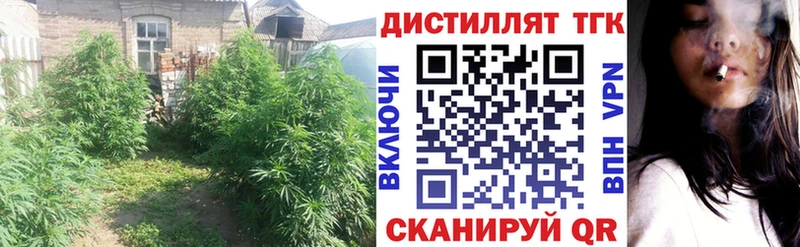 ТГК гашишное масло  Починок 